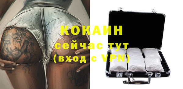 гашик Белокуриха
