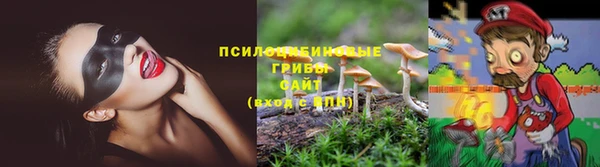 спиды Белоозёрский