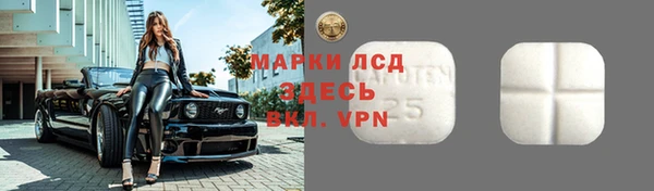 гашик Белокуриха