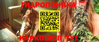 стаф Будённовск