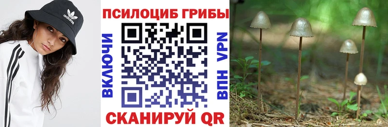 Галлюциногенные грибы Psilocybe  Лобня 