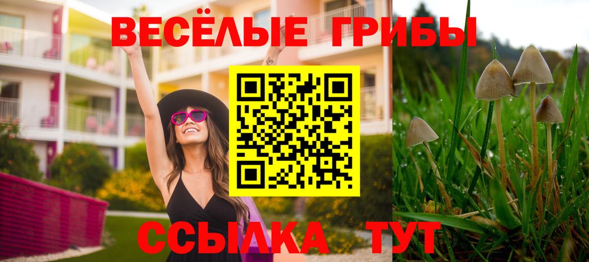 где продают   Вход с VPN  Лобня  Галлюциногенные грибы MAGIC MUSHROOMS 